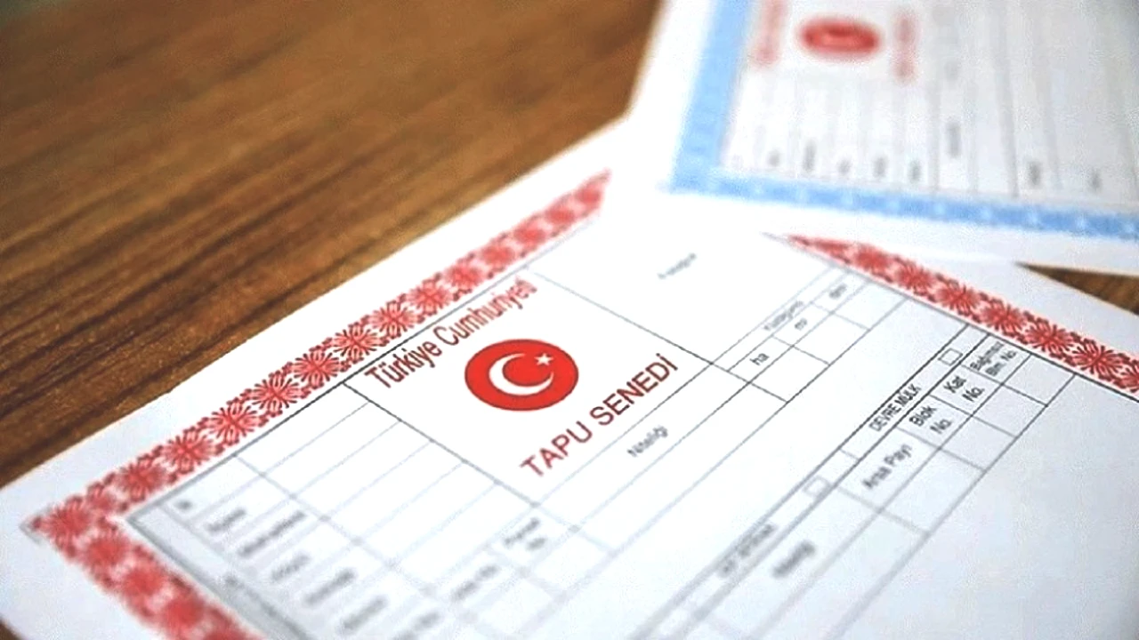 Tapu Sahiplerine Kritik Uyarı! Arsalarınızı Kaybetmemeniz İçin Bilmeniz Gerekenler!